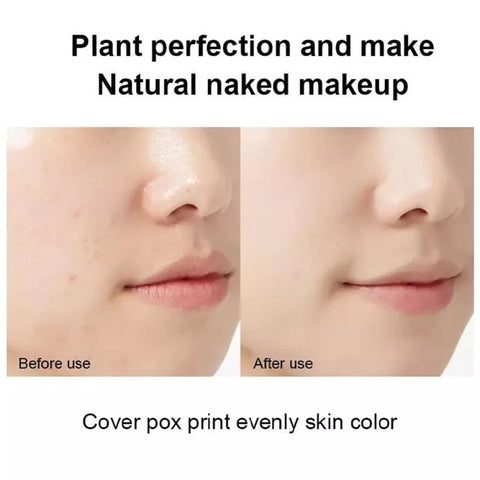 Air cushion BB CC Cream Whitening Foundation Base Cream De Maquillaje Rose Setting Makeup Oil Control Waterproof Concealer